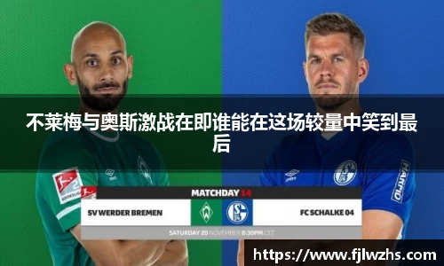 mk体育官网